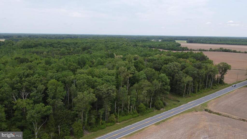 Lot 3 Cedar Grove Church Road, Felton, DE 19943 - View 2