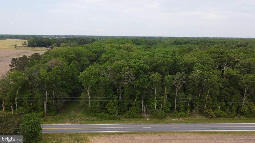 Lot 3 Cedar Grove Church Road, Felton, DE 19943 - View 3