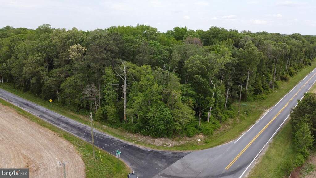 Lot 3 Cedar Grove Church Road, Felton, DE 19943 - View 4