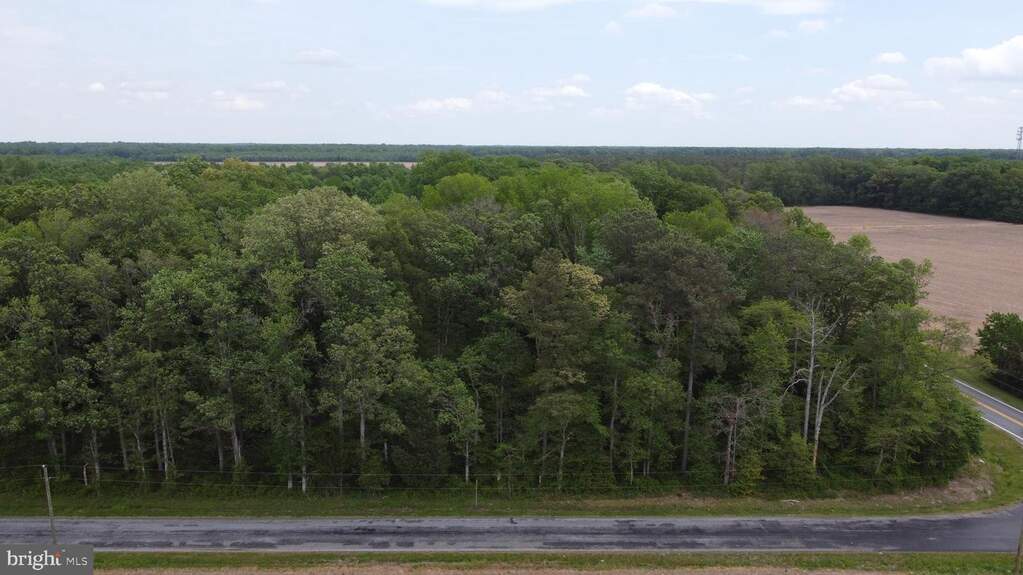 Lot 3 Cedar Grove Church Road, Felton, DE 19943 - View 6