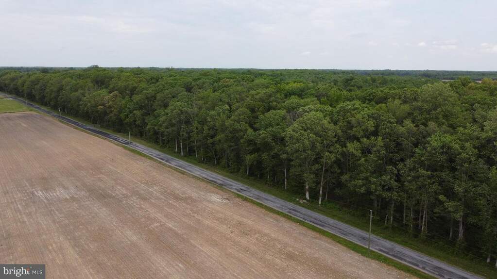 Lot 3 Cedar Grove Church Road, Felton, DE 19943 - More
