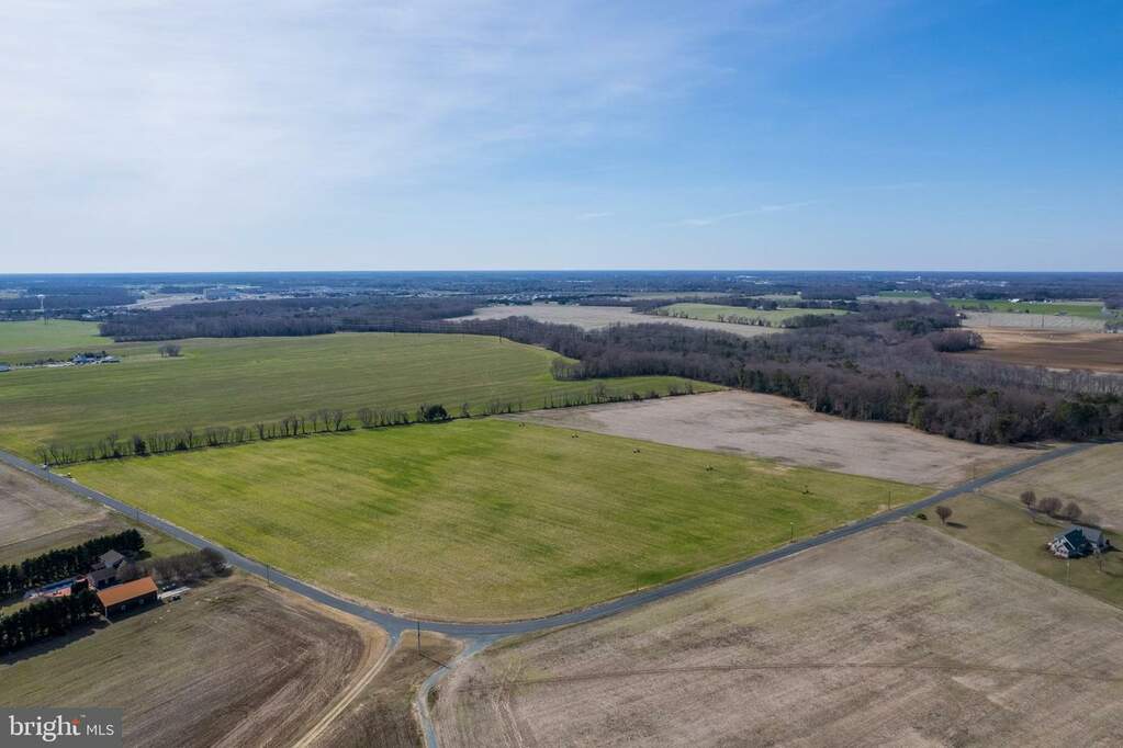 56.37 Acres Sharps Road, Milford, DE 19963 - View 4