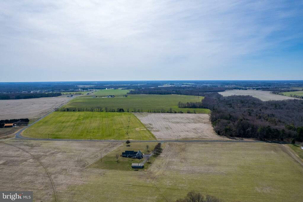 56.37 Acres Sharps Road, Milford, DE 19963 - View 5