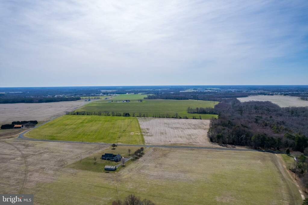 56.37 Acres Sharps Road, Milford, DE 19963 - View 6