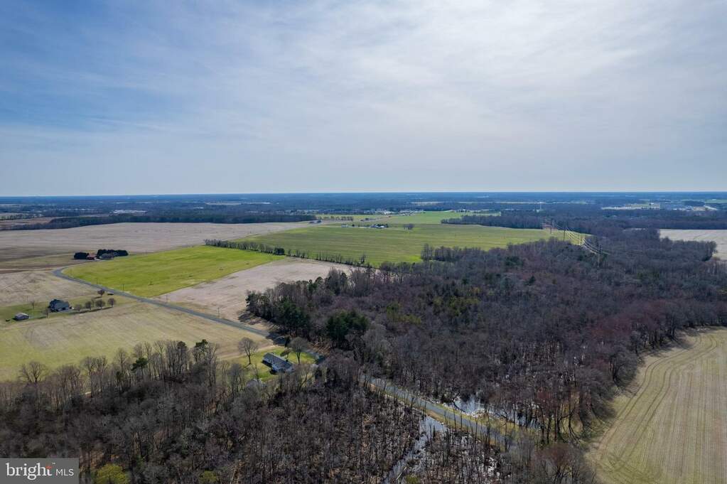 56.37 Acres Sharps Road, Milford, DE 19963 - More