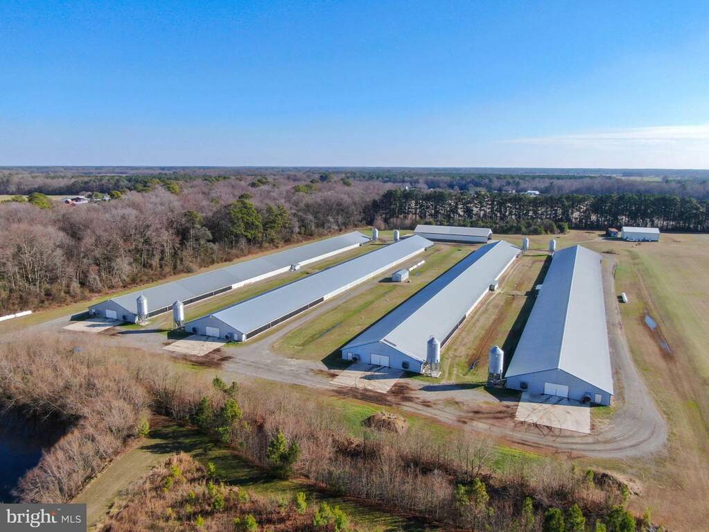 7003 Hynson Road, Hurlock, MD 21643 MLS MDDO2006622 RLAH properties