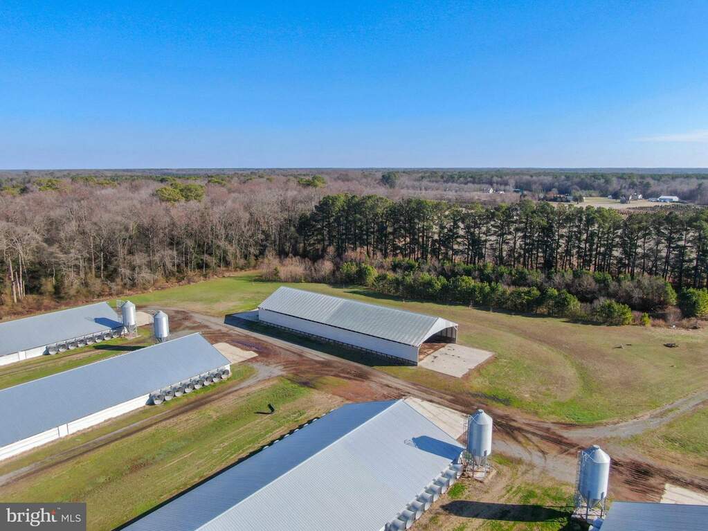 7003 Hynson Road, Hurlock, MD 21643 MLS MDDO2006622 RLAH properties