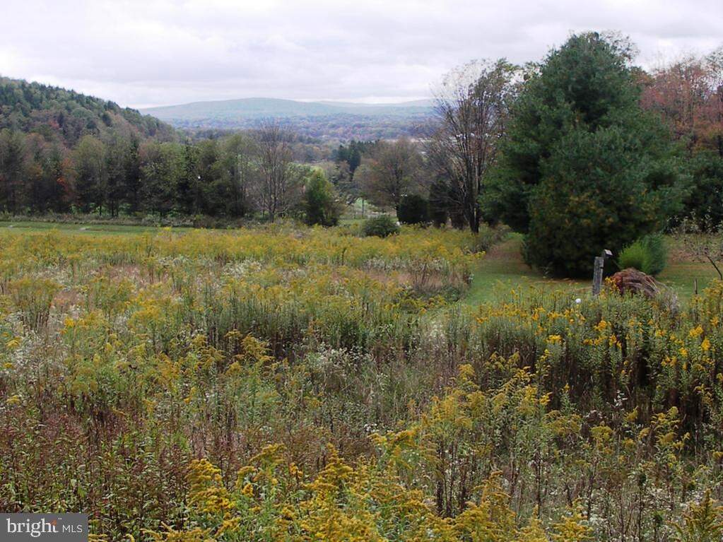 Garrett Trail, Oakland, MD 21550 - View 2