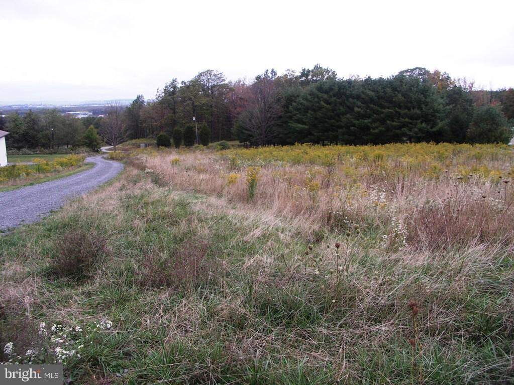 Garrett Trail, Oakland, MD 21550 - View 4