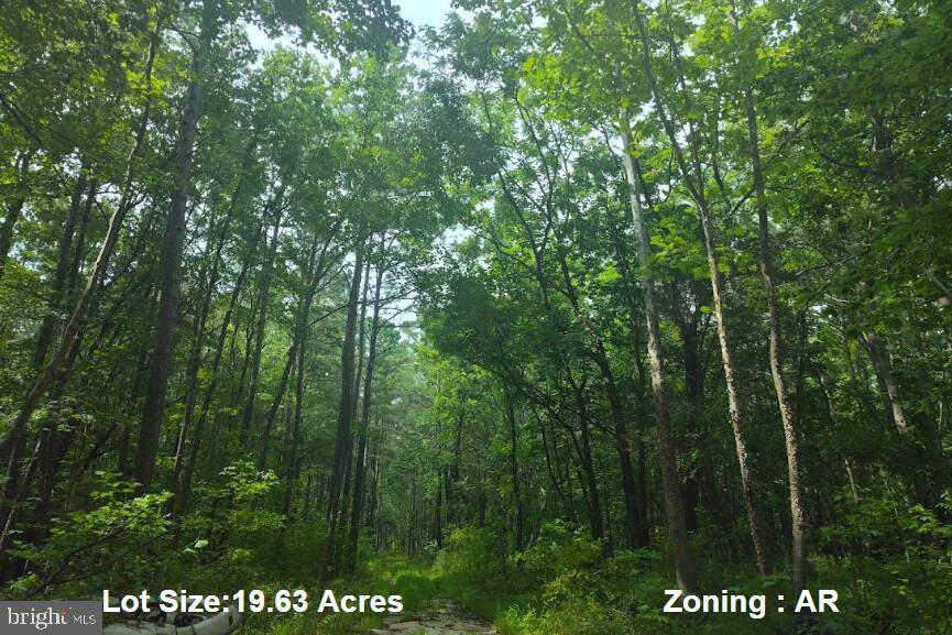 4820 Danville Road, Brandywine, MD 20613, Brandywine