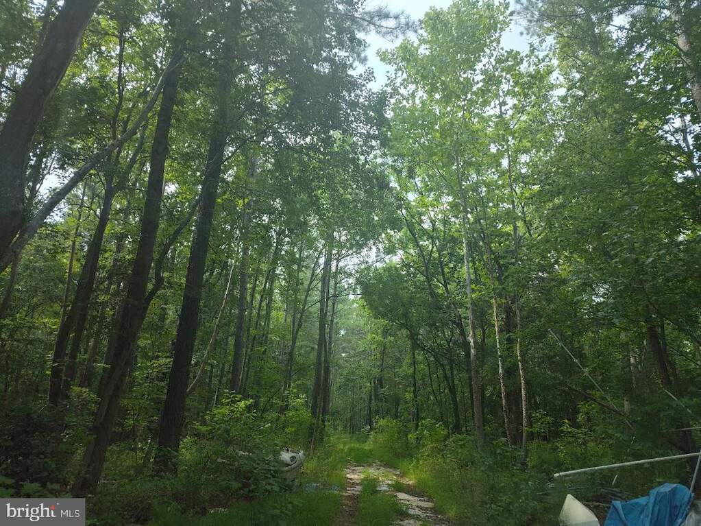 4820 Danville Road, Brandywine, MD 20613 - View 4