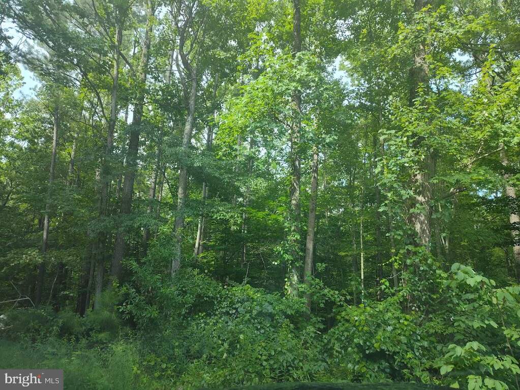 4820 Danville Road, Brandywine, MD 20613 - View 5