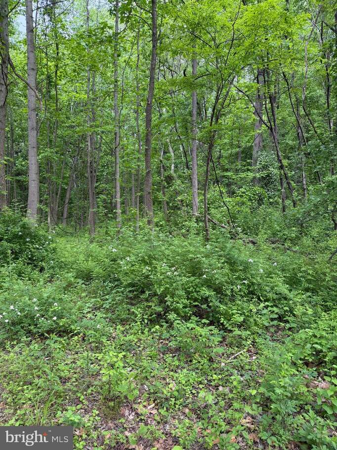 Hideout Lane, Bowie, MD 20716 - View 2