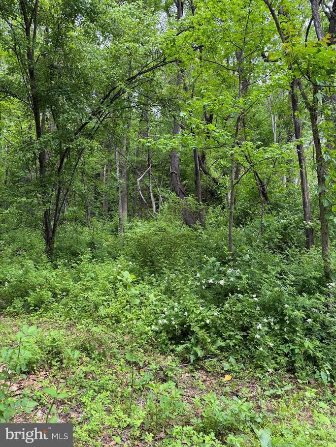 Hideout Lane, Bowie, MD 20716 - View 3