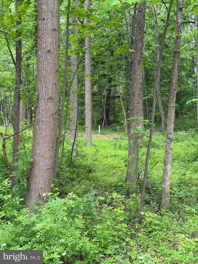 Hideout Lane, Bowie, MD 20716 - View 4