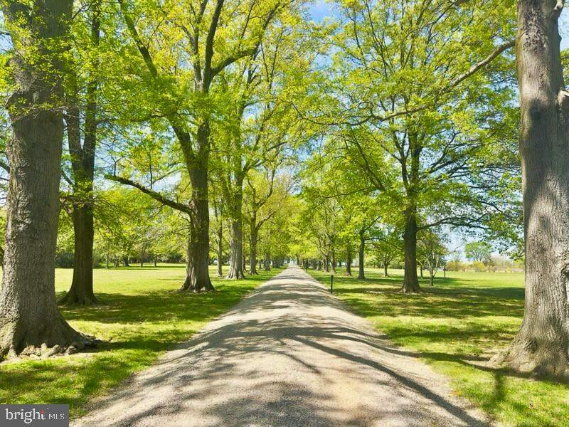8612 Tilghman Island Road, Wittman, MD 21676 - View 3