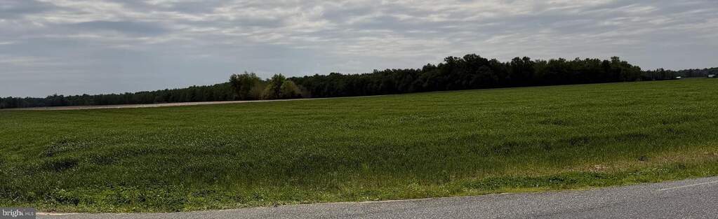 Block 00038 Lot 0000 Glassboro Road, Monroeville, NJ 08343, Monroeville