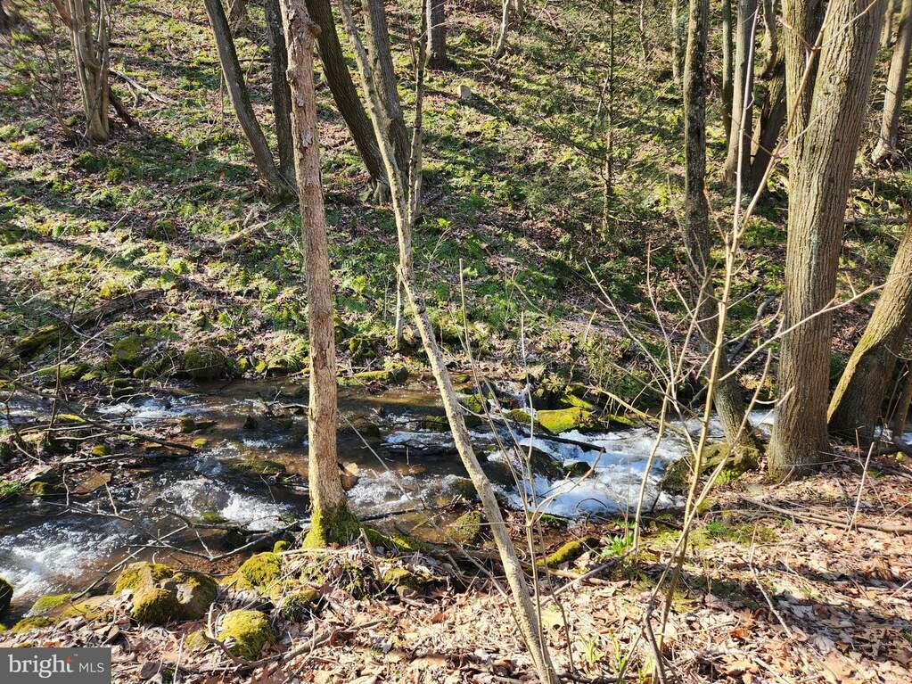 Off Pulpit Road, Woodbury, PA 16695 MLS PABD2001826 RLAH properties