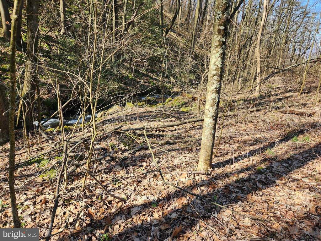 Off Pulpit Road, Woodbury, PA 16695 MLS PABD2001826 RLAH properties