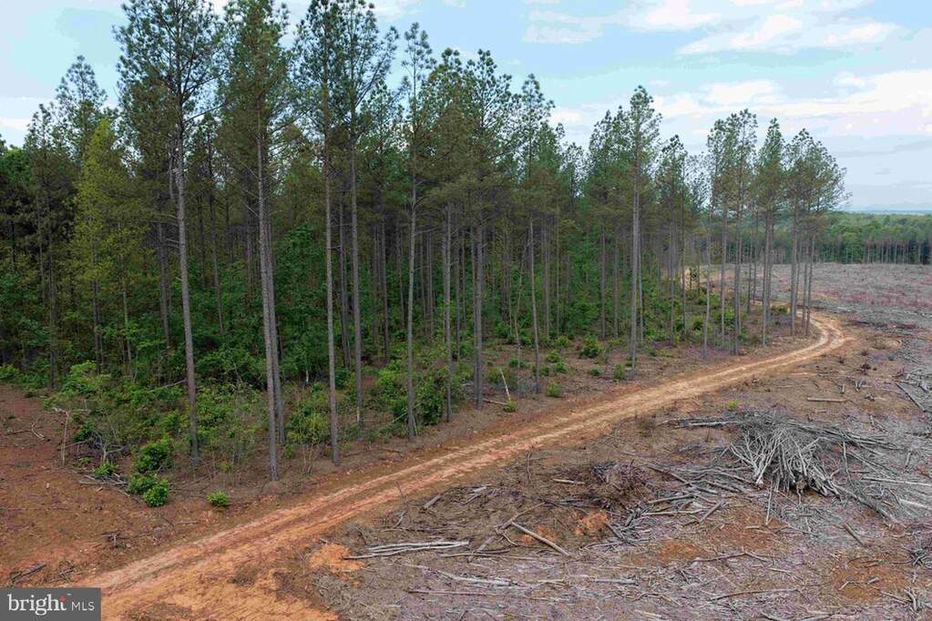 West River Road (tract: Jr Sad, Fork Union, VA 23055 - More