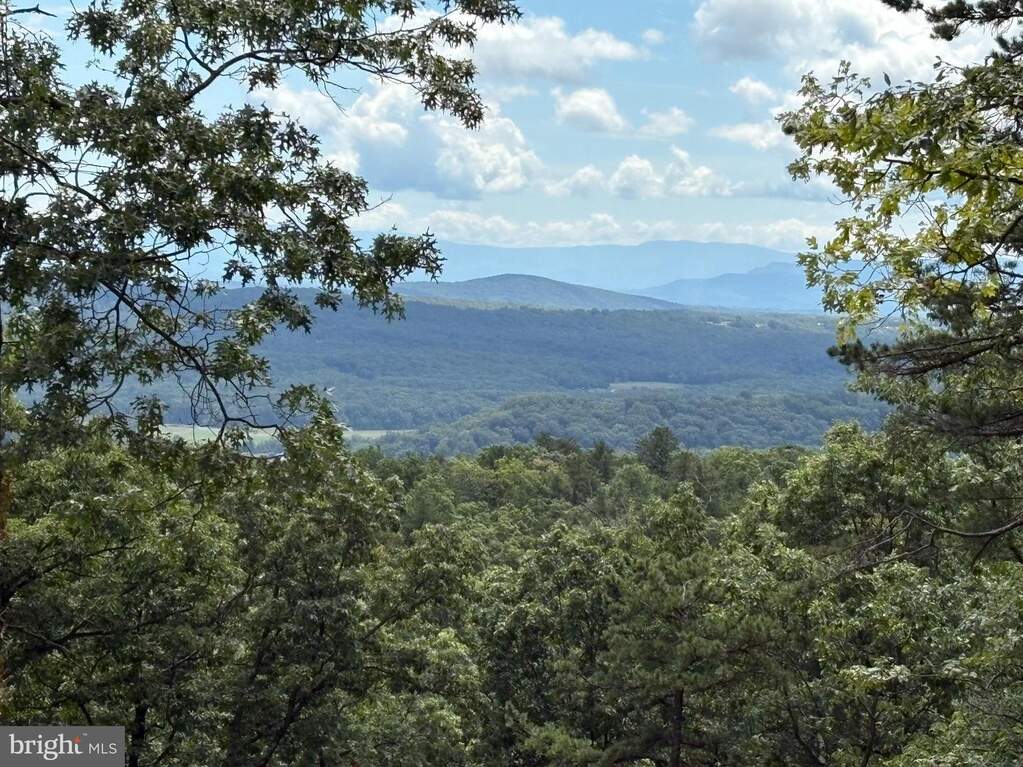 Lot 133 Tomahawk Trail, Winchester, VA 22602 - View 4