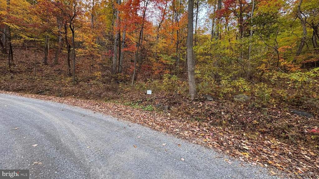 Lot 133 Tomahawk Trail, Winchester, VA 22602 - View 6
