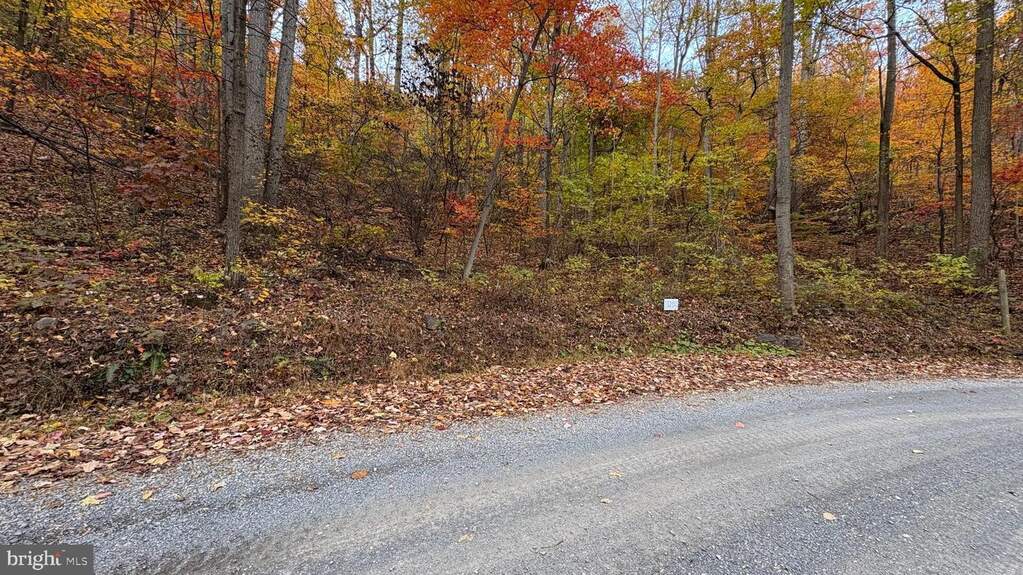 Lot 133 Tomahawk Trail, Winchester, VA 22602 - More