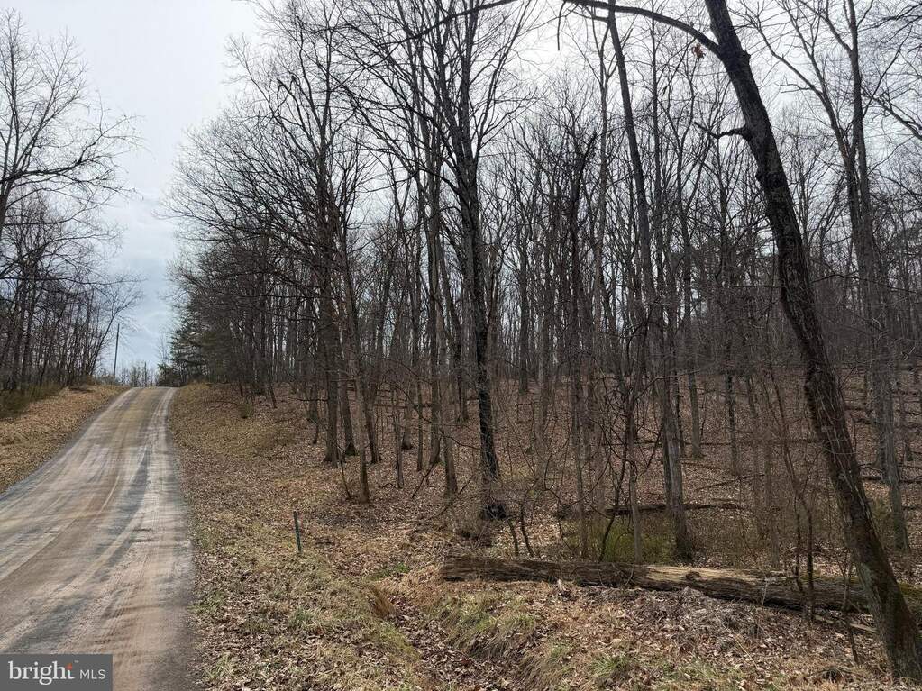 Logger Drive #LOT 82, Gore, VA 22637 - View 2
