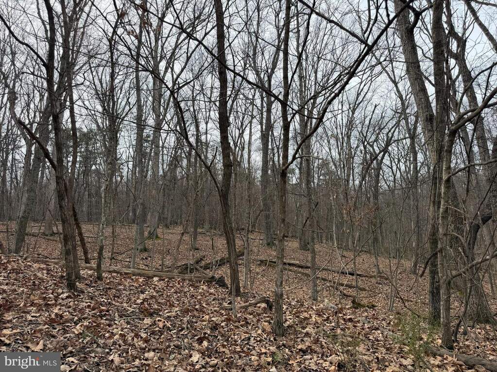 Logger Drive #LOT 82, Gore, VA 22637 - View 3