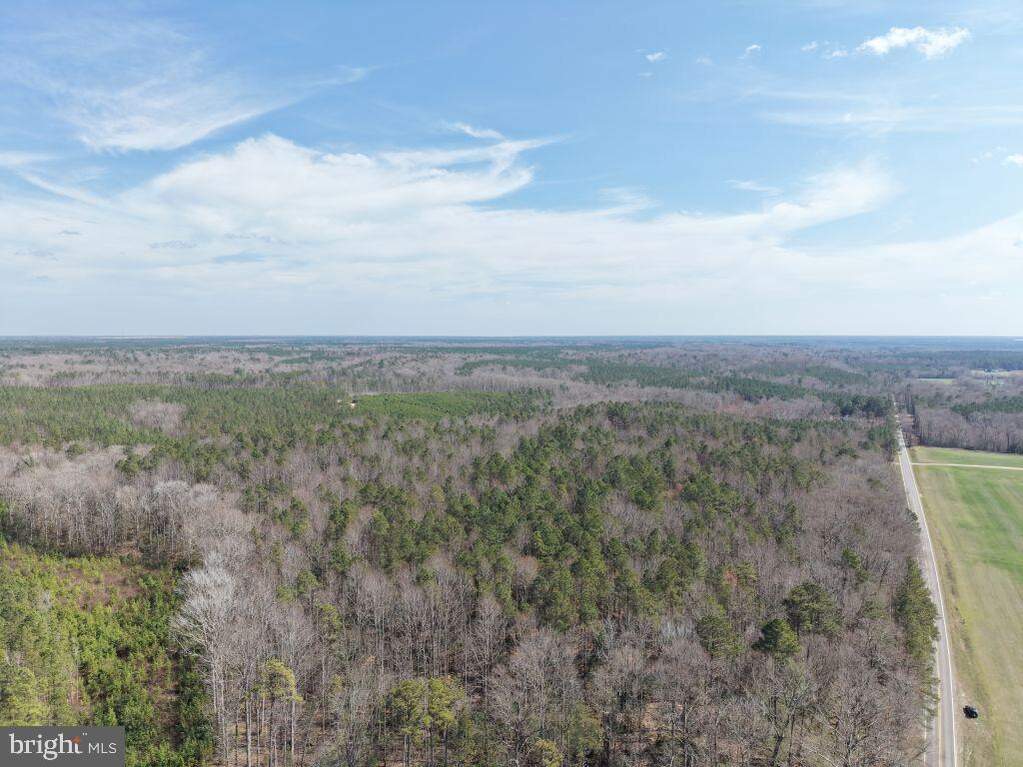 The Trail, King And Queen Court House, VA 23085 - View 6