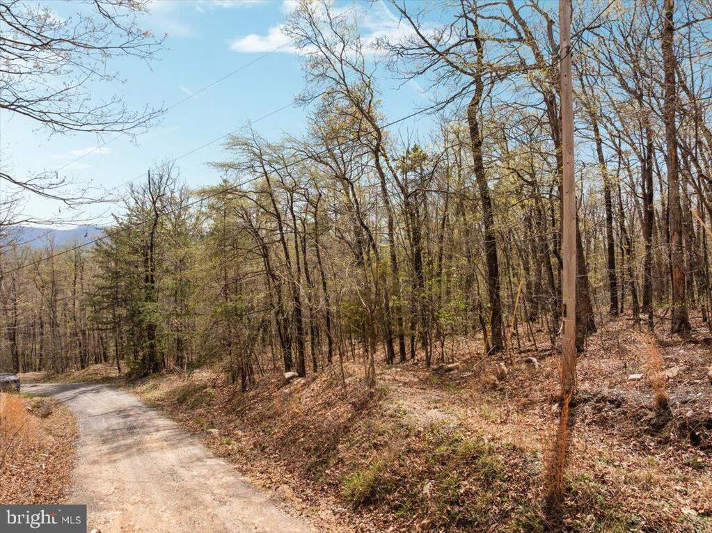 Lot 21 Mockingbird Ln, Luray, VA 22835 - More
