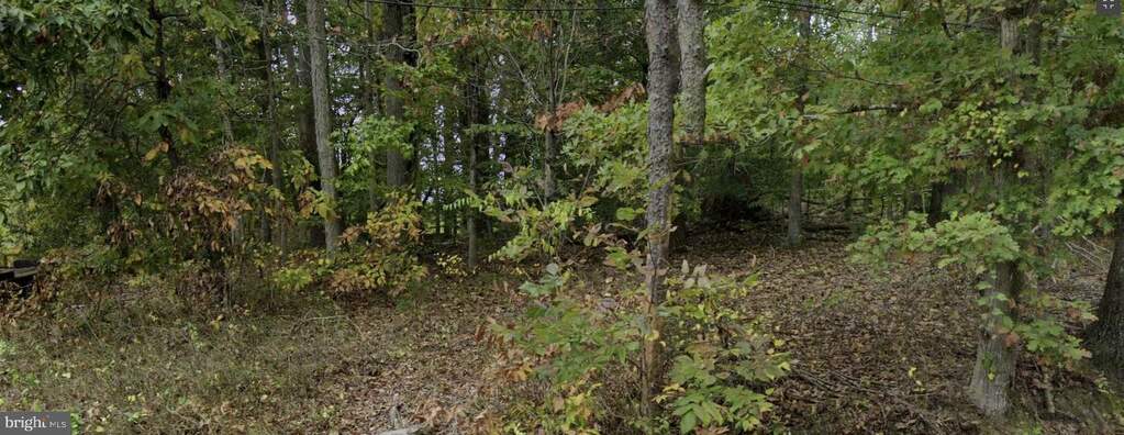 17214 Batestown Road, Dumfries, VA 22025, Dumfries