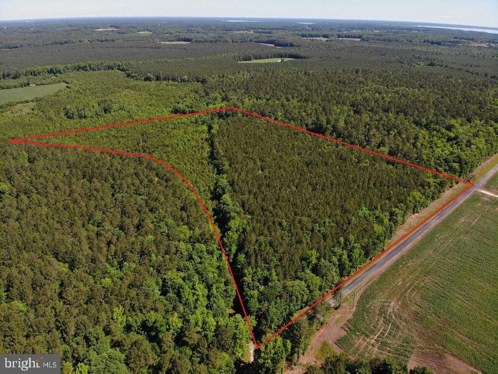 Golden Hill Rd, Elberon, VA 23846 MLS VASR2000018 RLAH properties