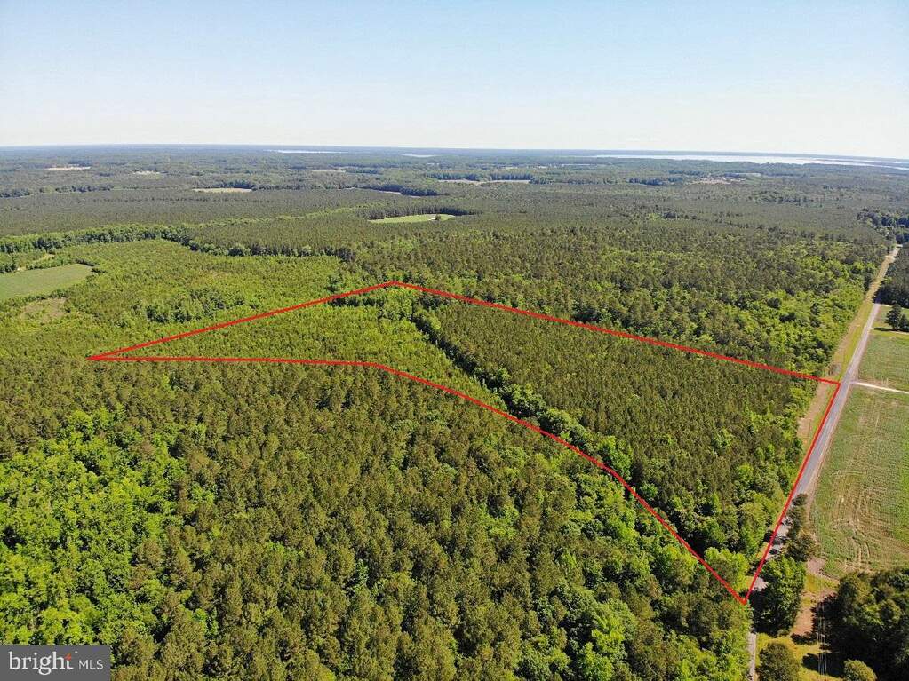 Golden Hill Rd, Elberon, VA 23846 MLS VASR2000018 RLAH properties