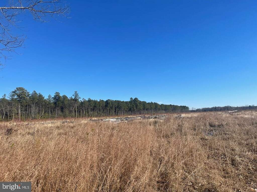 0 Mt Holly Road, Montross, VA 22520 MLS VAWE2005830 RLAH properties