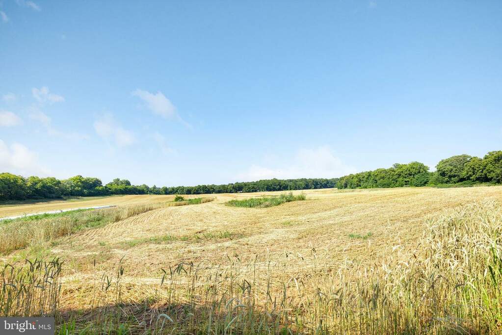 Mish Rd, Bunker Hill, WV 25413 - More