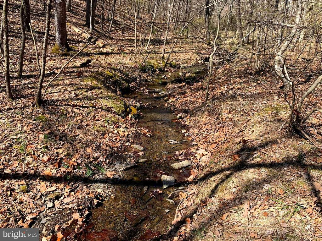 10 Mountain Air Drive, Springfield, WV 26763 MLS WVHS2003148 RLAH