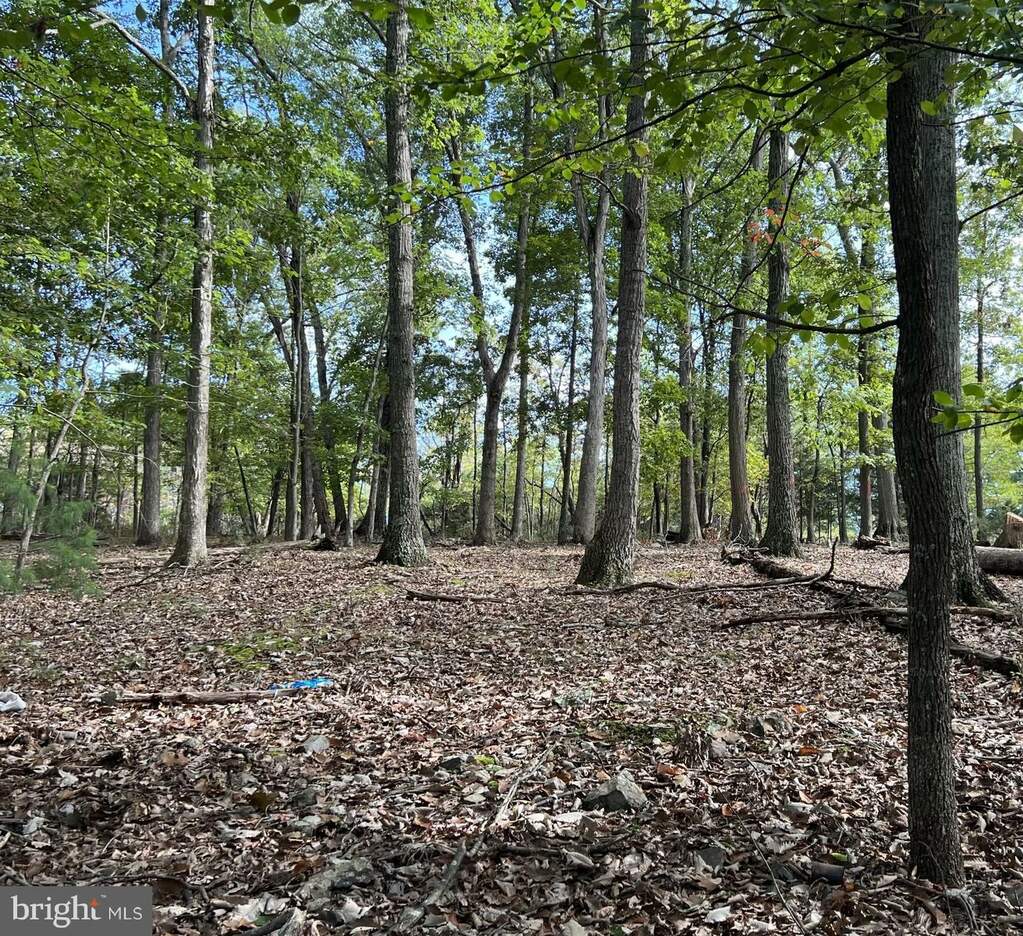 TBD Janes Way LOT 27, High View, WV 26808 MLS WVHS2003938 RLAH properties