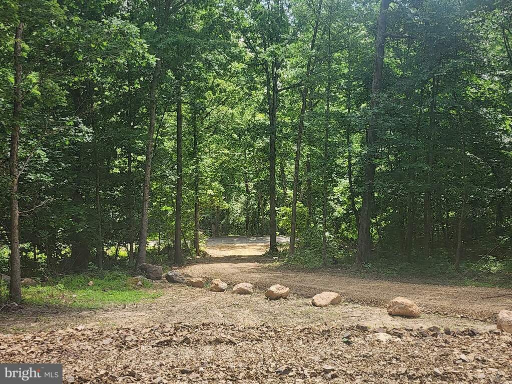 10 ACRES Arnold Stickley Rd, Green Spring, WV 26722 MLS WVHS2004768