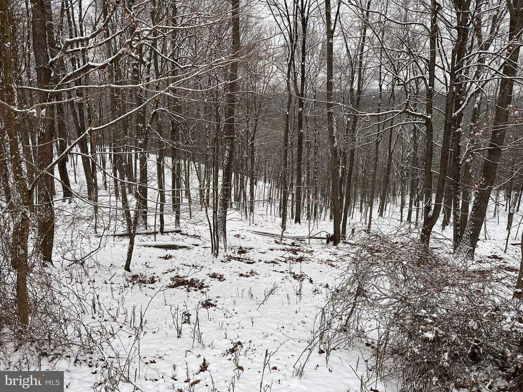 0 Tanglewood Lane, Berkeley Springs, WV 25411 MLS WVMO2003998 RLAH