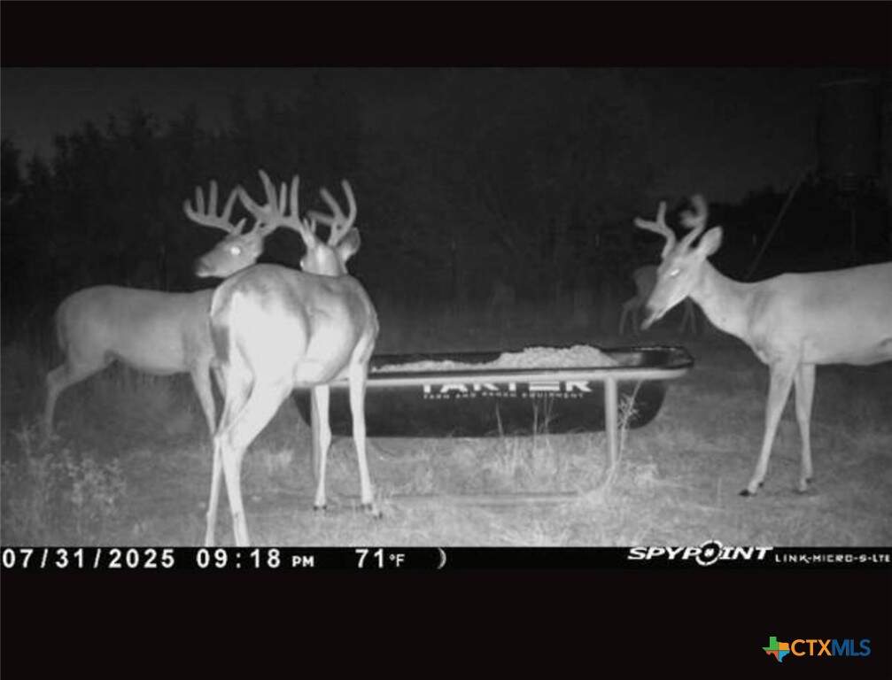 542 County Road 2275, Lampasas, TX 76550 - View 3