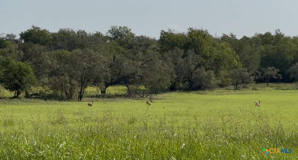 3927 County Road 3210, Kempner, TX 76539 - View 4