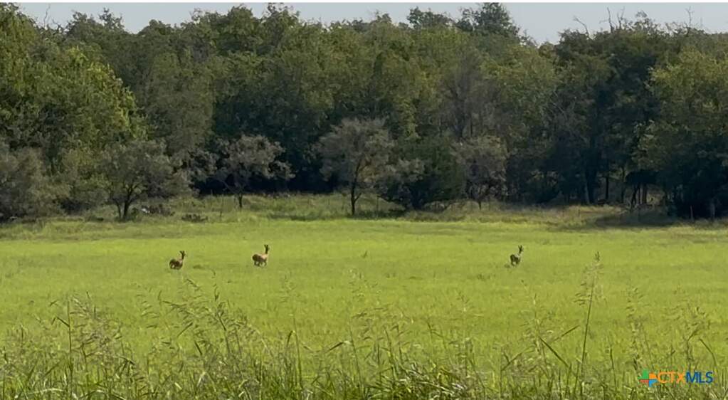 3927 County Road 3210, Kempner, TX 76539 - View 5