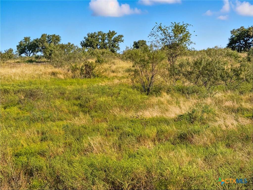Lot 8 Ph 1 Pr 4218, Evant, TX 76525 - View 2