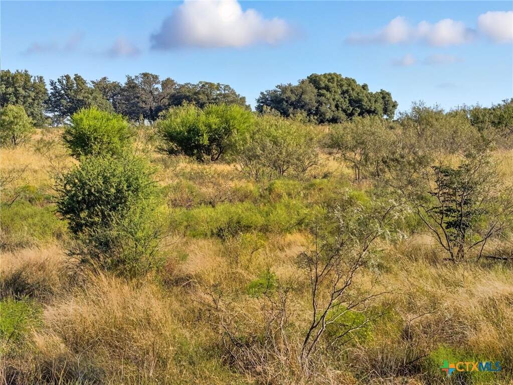 Lot 8 Ph 1 Pr 4218, Evant, TX 76525 - View 3