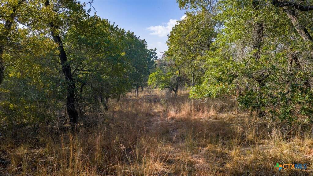 Tract 17 & 18 Sandstone Ln, Seguin, TX 78155 - View 2
