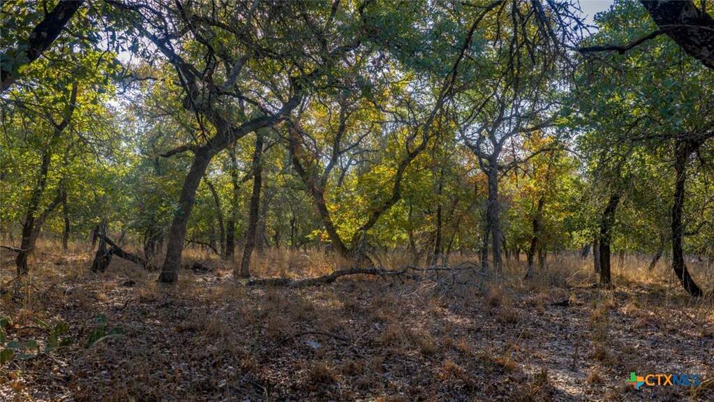 Tract 17 & 18 Sandstone Ln, Seguin, TX 78155 - View 3