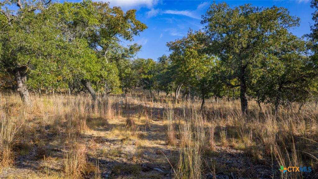 Tract 17 & 18 Sandstone Ln, Seguin, TX 78155 - View 4