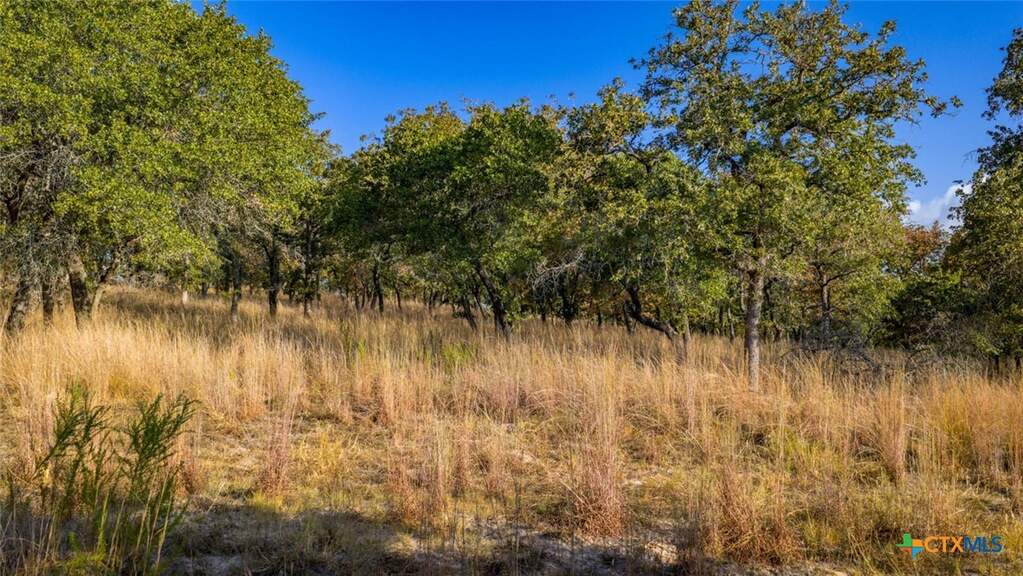 Tract 17 & 18 Sandstone Ln, Seguin, TX 78155 - View 5