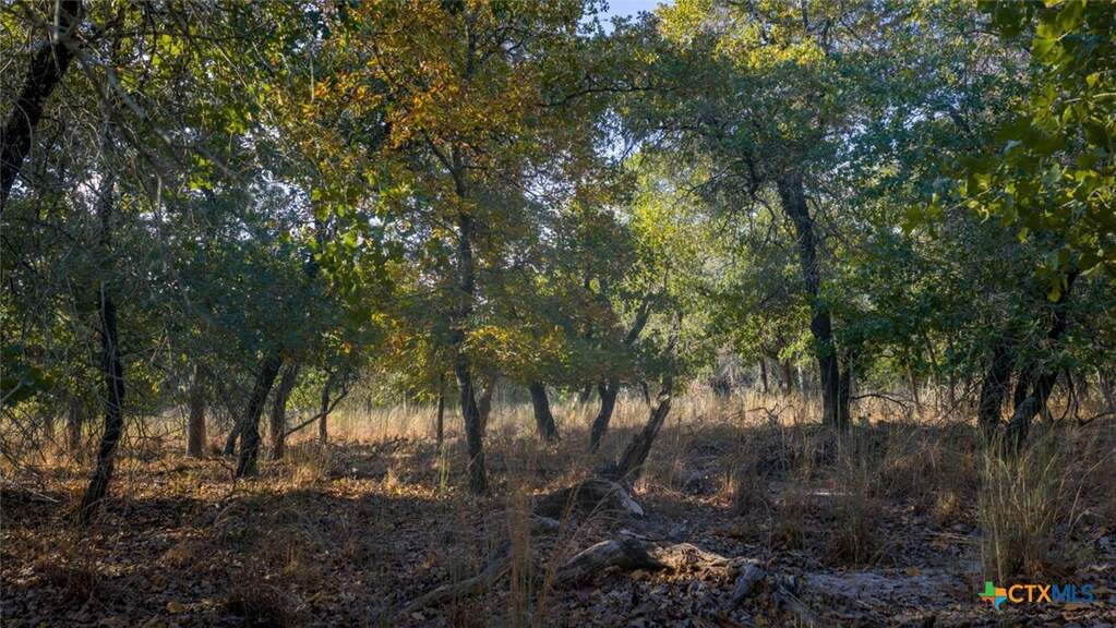 Tract 17 & 18 Sandstone Ln, Seguin, TX 78155 - View 6